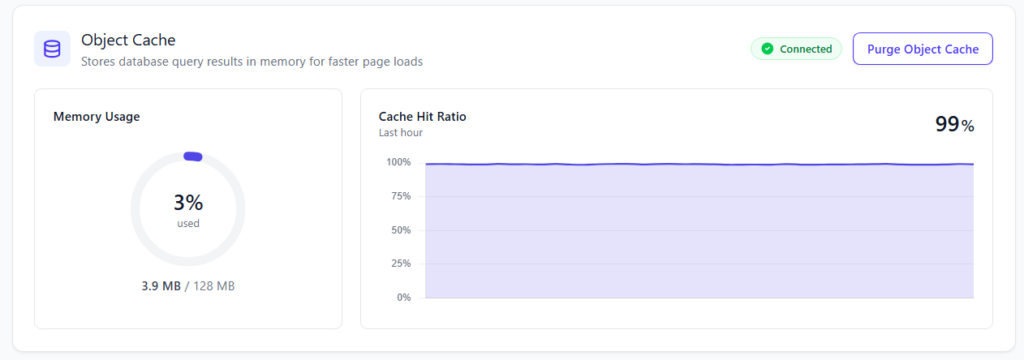 FlyingPress 5.6.0 includes Redis Object Cache